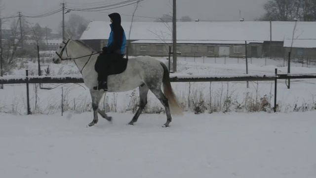 В городе новый шериф!