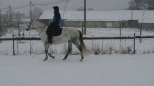 В городе новый шериф!