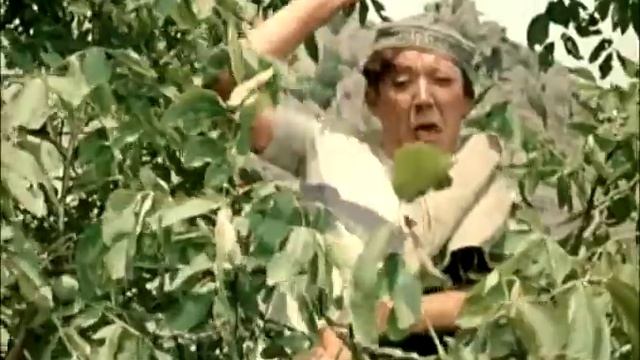 Сектор Газа   Каберне