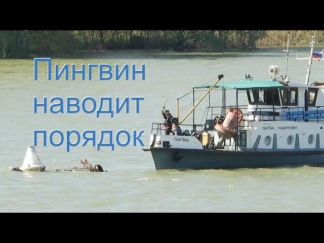 волгоградский Пингвин наводит порядок на фарватере Кубани смотреть онлайн