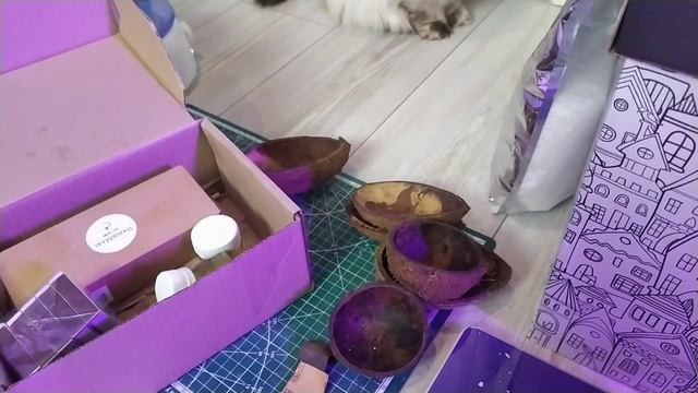 КАК СДЕЛАТЬ СВЕЧУ В КОКОСЕ ? | ЧТО СДЕЛАТЬ С ФИТЕЛЕМ ЧТОБЫ ОН ТРЕЩАЛ ? | СВЕЧА ИЗ КОКОСОВОГО ВОСКА смотреть онлайн