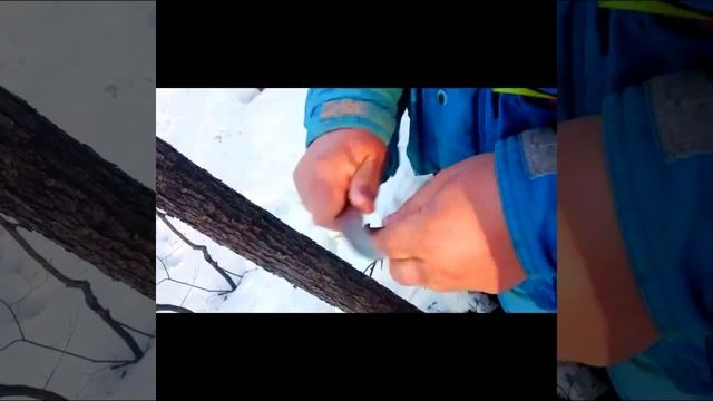 За берёзовым соком! смотреть онлайн