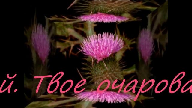 Красивые поздравления с 8 Марта! смотреть онлайн