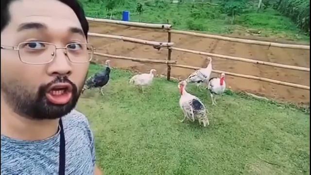 Подборка лучших видео недели #42 / Best Video Of The Week #42