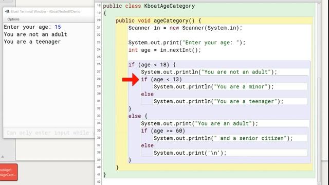 Nested ifs | ICSE Computer Applications | Java & BlueJ смотреть онлайн