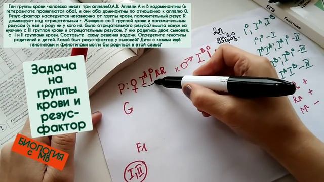 Задача на группы крови и резус-фактор. смотреть онлайн