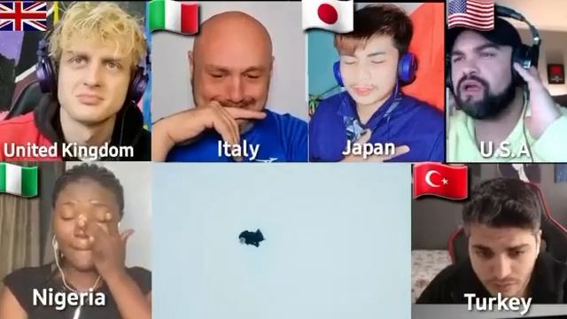 Исповедь. Шаман исполняет песню ,иностранцы слушают и  плачут .