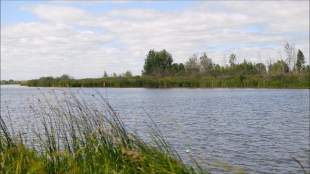 ФАТЫХ КАРИМ. «ДИКИЕ ГУСИ». смотреть онлайн