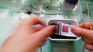 ЛОБЕЛИЯ ПРЕКРАСНАЯ, МНОГОЛЕТНИЙ ЦВЕТОК.СЕЕМ В ТАБЛЕТКИ,