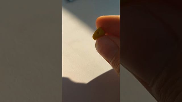 Террария в реальной жизни 16 часть смотреть онлайн
