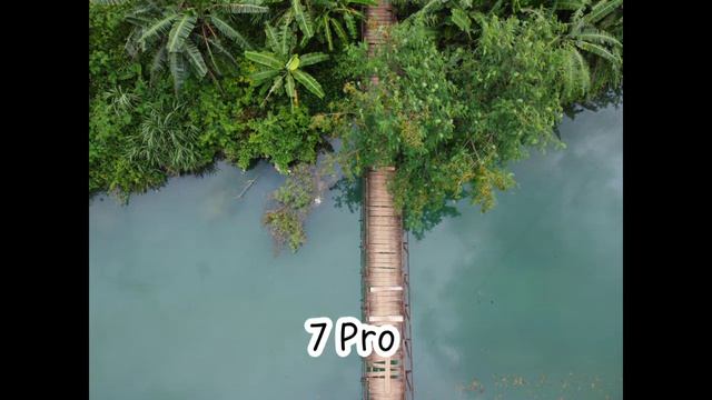 OnePlus Ace Vs Google Pixel 7 Pro Vs Camera  Comparison