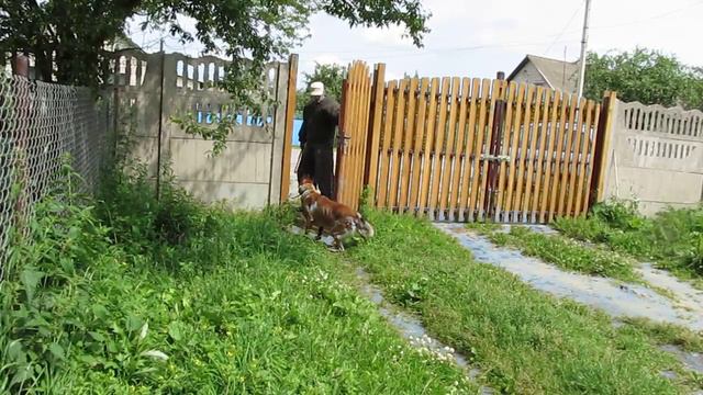 Малинуа Джой, В. Байко, охрана территории, тренинг смотреть онлайн