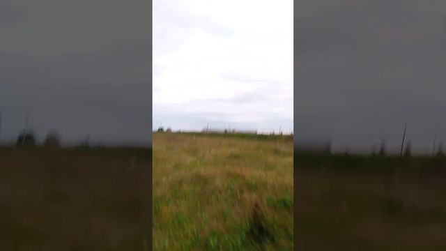 квадрик смотреть онлайн