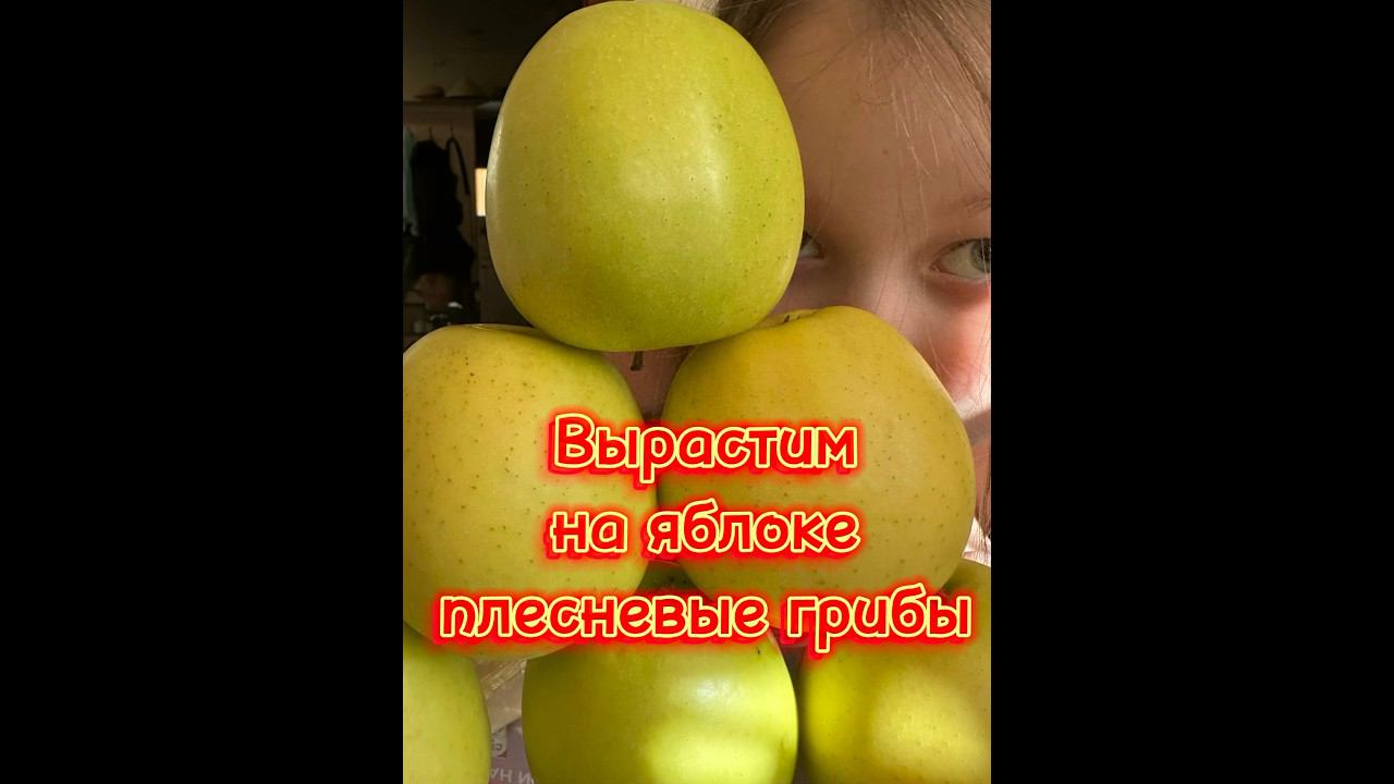 Плесневые грибы #хочувсезнать смотреть онлайн