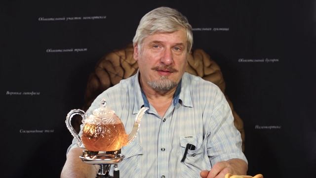 Влияние изменения формы черепа на мозг смотреть онлайн
