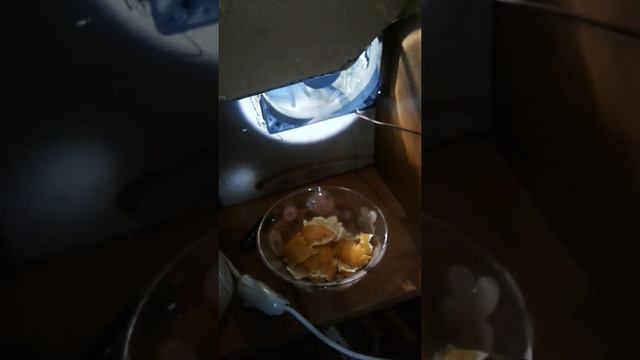 конец вегетации (периода) смотреть онлайн