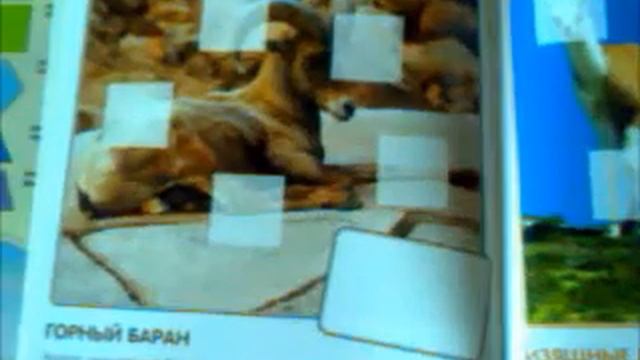 Кто живет в горах Книга с наклейками Мозаика синтез смотреть онлайн