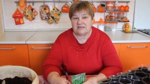 Вигна Овощная. Сеем Вигну на Рассаду.