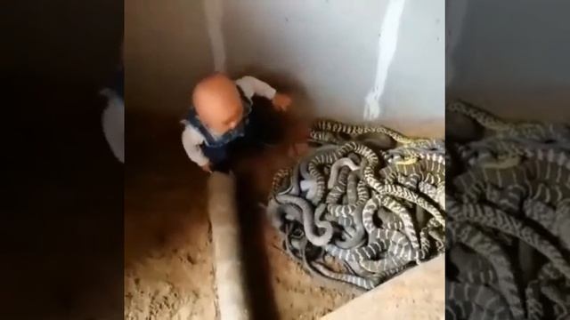Храбрый мальчик смотреть онлайн