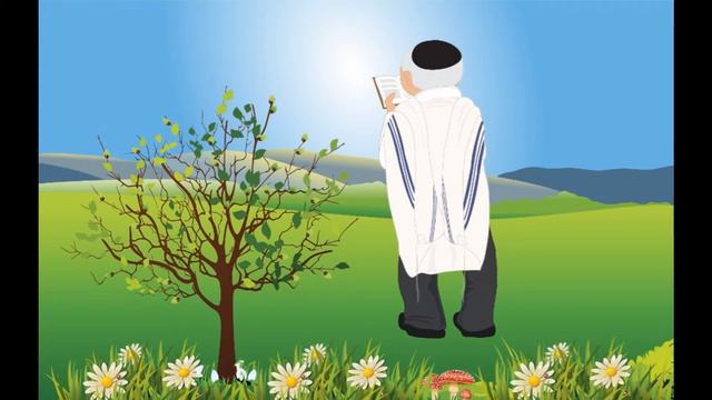 Иврит для детей, урок 4. Что у меня есть? смотреть онлайн