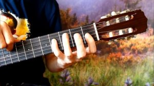 Губка БОБ на Гитаре + РАЗБОР