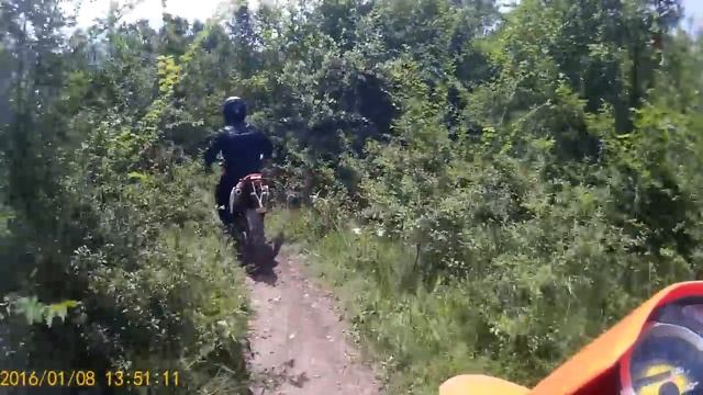 Научный Верхоречье 08,06,2016 смотреть онлайн