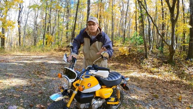 Honda Monkey 125 - A Hardcore Owner's No Bullsh*t Review смотреть онлайн