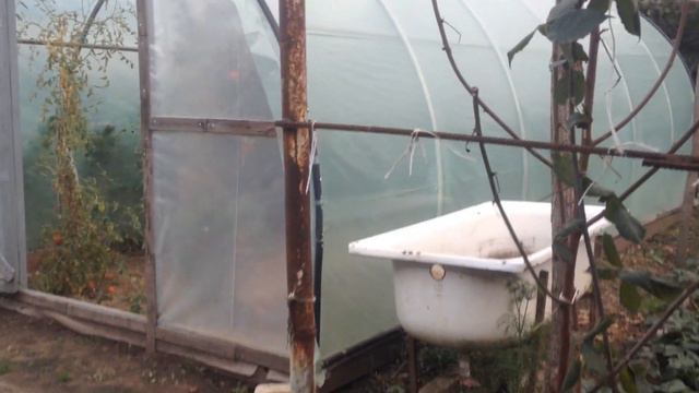 Обзор участка. Мы в гостях. смотреть онлайн