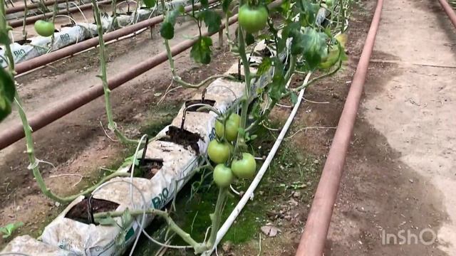 HVAD3834 смотреть онлайн