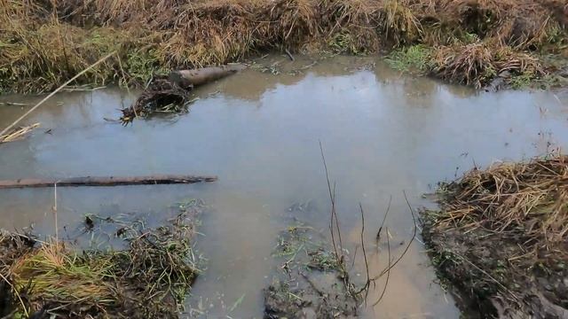 РМ 650-2 и AODES, засел в лесной речке смотреть онлайн