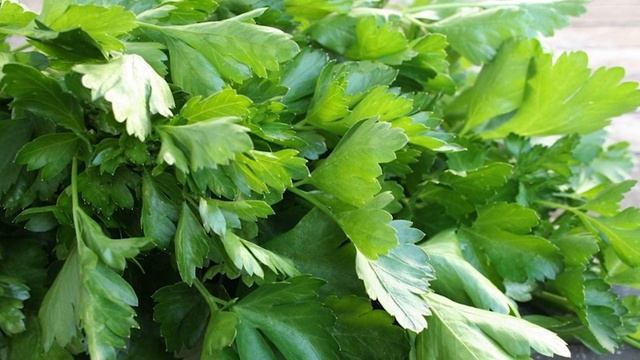 Спортивные Моменты и Забавы