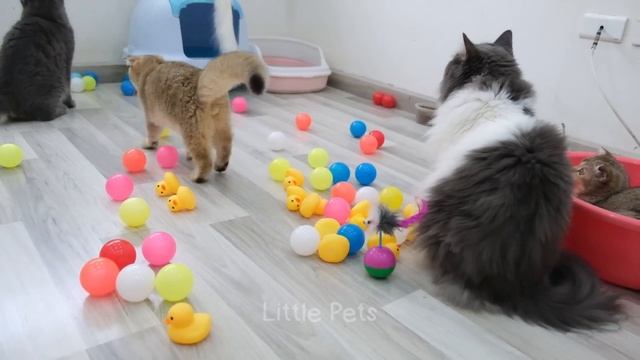 Funniest Animals 2023 ? Best Cats and Dogs Videos ?? Part 19 смотреть онлайн