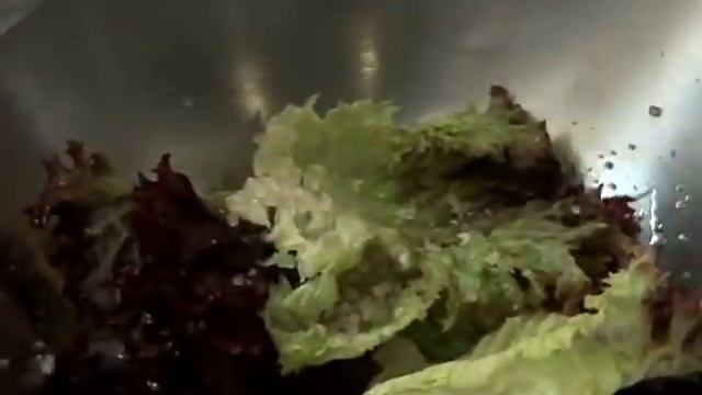 How To Make A Quick Vinaigrette - CHOW Tip