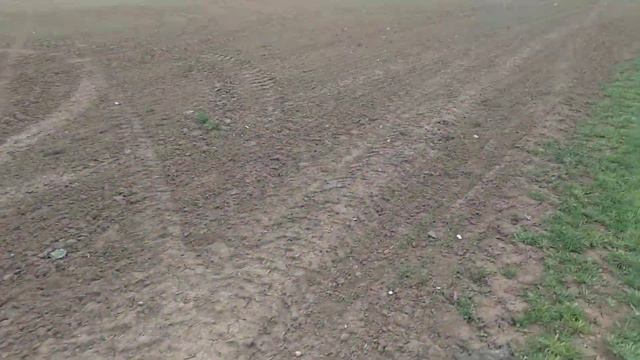 Кто подскажет,что посадили на этом поле фермера? смотреть онлайн