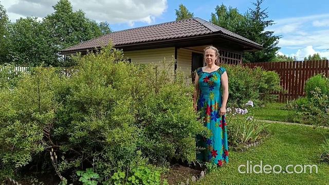 Белая смородина и варенье из нее смотреть онлайн