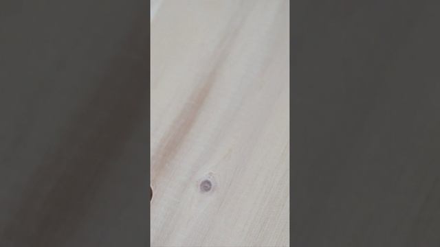 Пороки древесины: червоточины смотреть онлайн