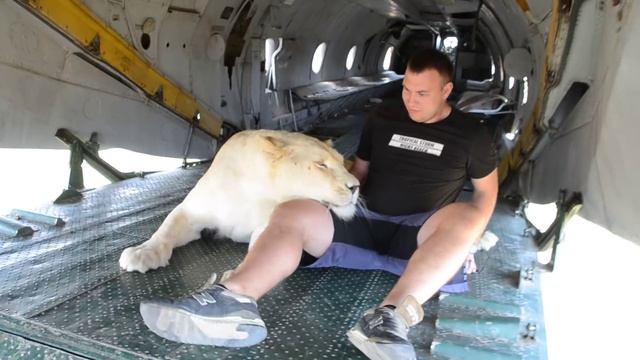 Герда  показывает полное пренебрежение к туристам !
