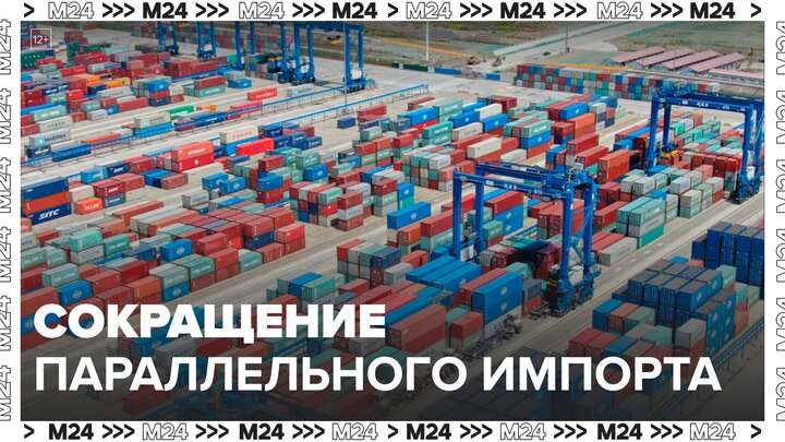 Минпромторг заявил о сокращении товаров для параллельного импорта - Москва 24