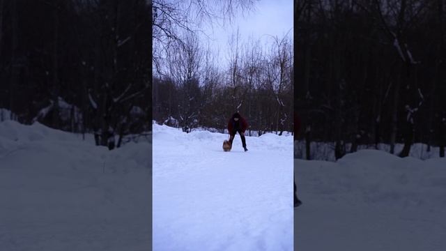 Как отучить щенка просится на руки смотреть онлайн