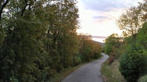 #нашествие #клоп вязовый и другие насекомые Как отогнать от окон и дверей #хорватия