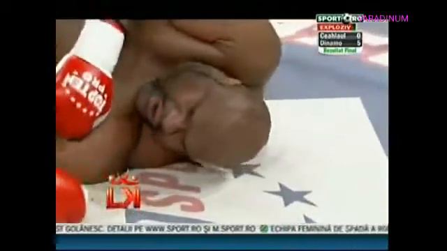 Fight Sandu Lungu vs Bob Sapp смотреть онлайн