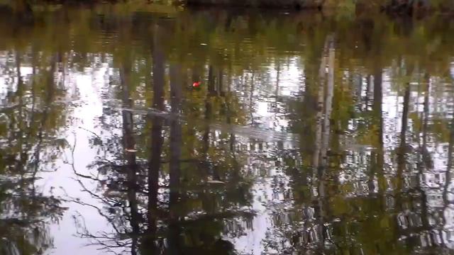 рыбалка в карелии смотреть онлайн