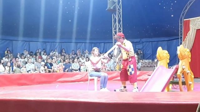 Цирк Шапито в Липецке.Я на арене цирка!! смотреть онлайн