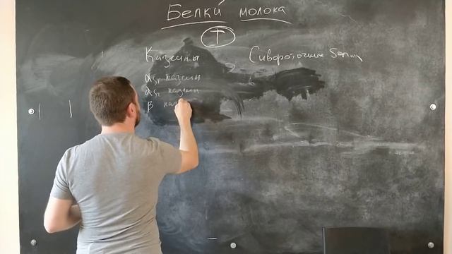 Урок № 2.2, Теория. Белки молока смотреть онлайн