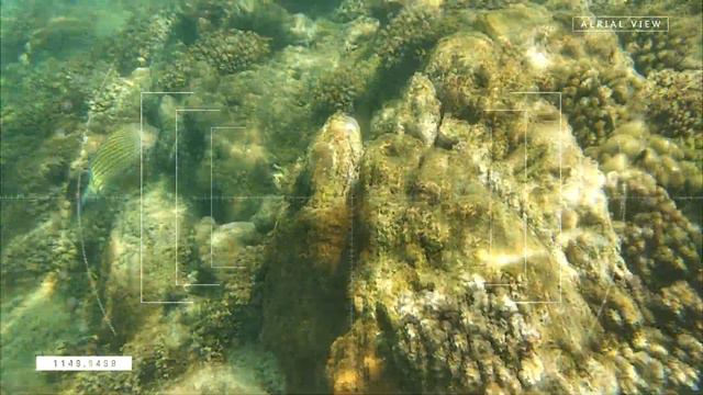 Андаманское море смотреть онлайн