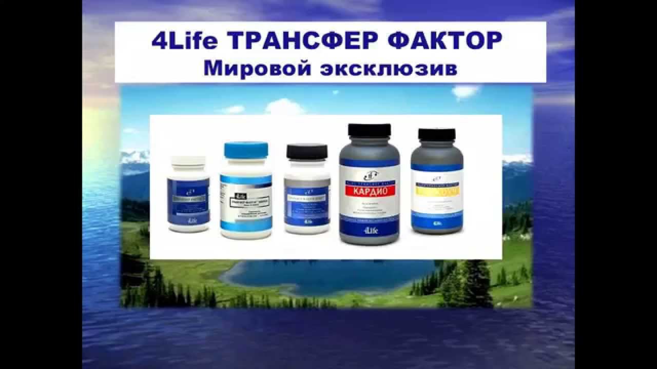 Что такое трансфер фактор. Вебинар, Кутузова Н.