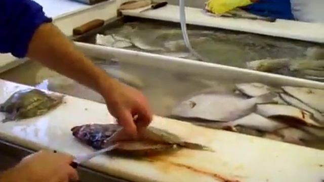 Мастерская разделка рыбы на производстве смотреть онлайн