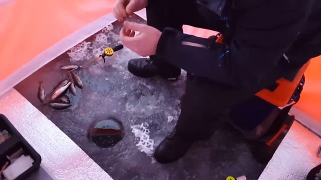 Палатка Пингвин ПРИЗМА ПРЕМИУМ 3 смотреть онлайн