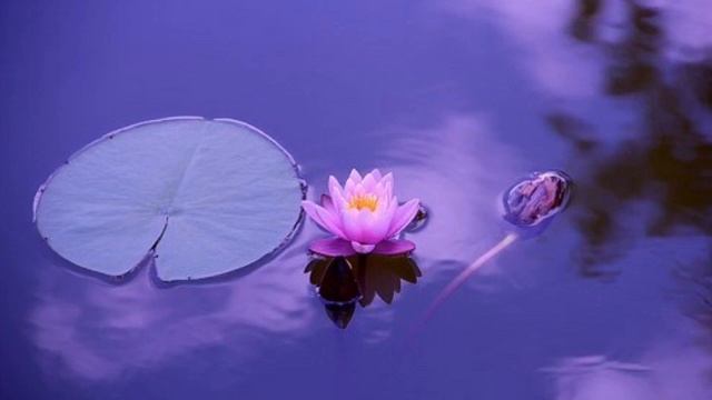 Relaxing Music Piano  успокаивающая музыка Пианино