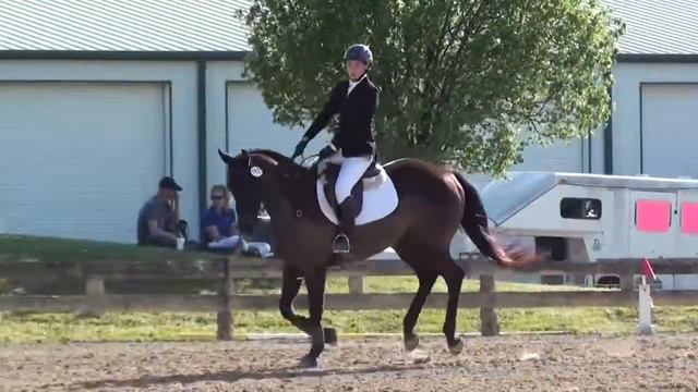 Emily Walden & Monte Cristo Texas Rose March Horse Trials 2015 смотреть онлайн